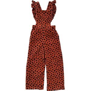 Hanna Andersson overalls